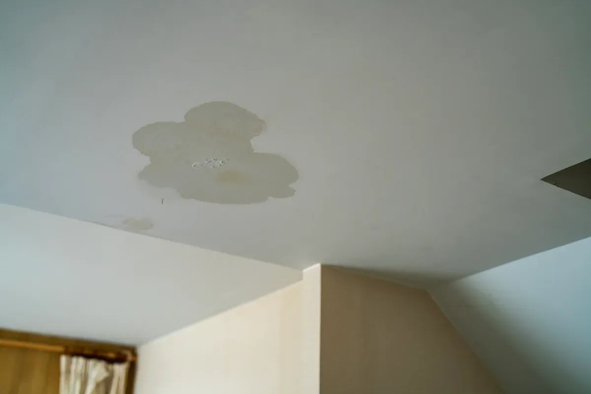 Brown water stain spreading across a white sloped ceiling below a roof leak